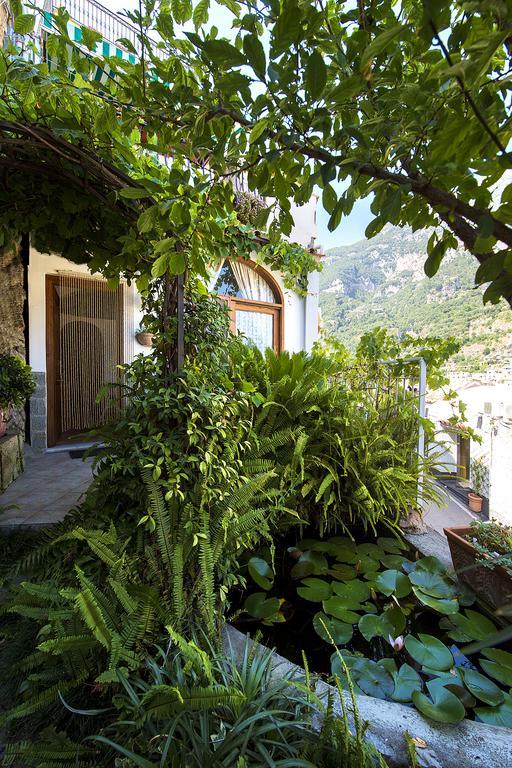B&B Le Ninfee Di Positano Kamer foto